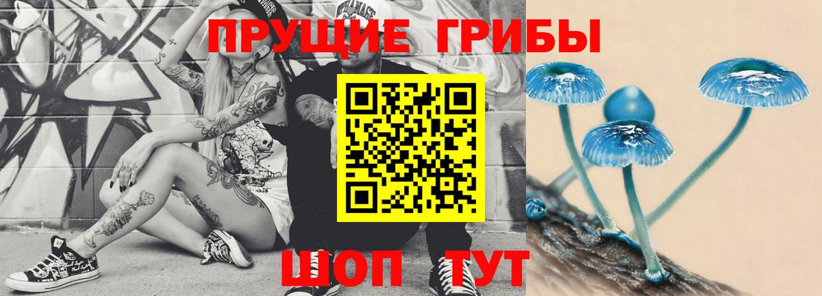 Галлюциногенные грибы мухоморы  купить наркотик  Ачхой-Мартан  Вход с VPN 