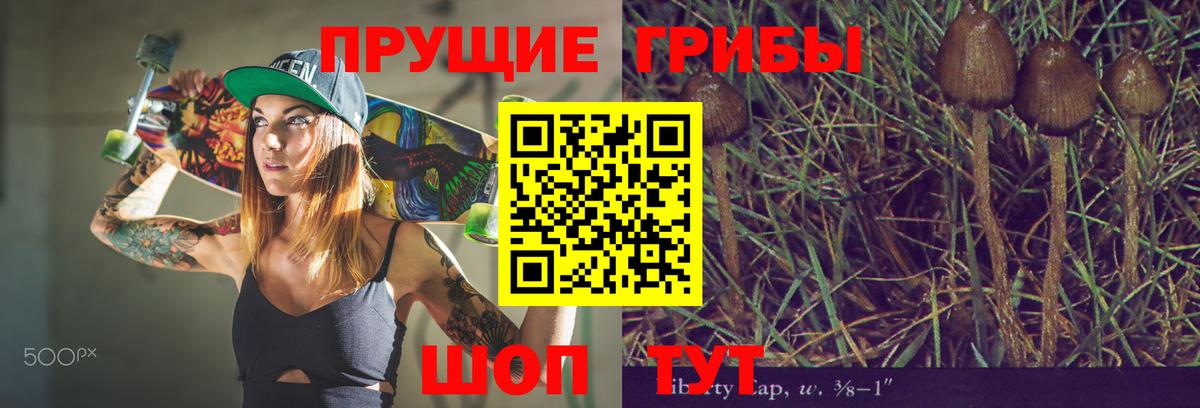 Галлюциногенные грибы прущие грибы  Ачхой-Мартан  Псилоцибиновые грибы ЛСД 